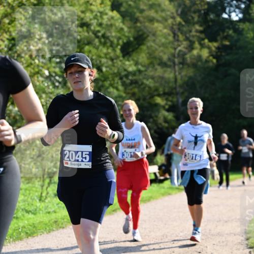 27.09.2026 - 35. Volkslauf durch das schöne Alstertal Dr. Thomas Lammeyer http://msf.ph/oto/10573920 27.09.2026 11:30:38 Laufen 4444, 2045, 30, 3016 meine-sportfotos.de