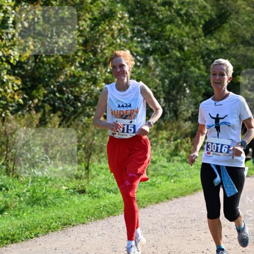 27.09.2026 - 35. Volkslauf durch das schöne Alstertal Dr. Thomas Lammeyer http://msf.ph/oto/10573925 27.09.2026 11:30:40 Laufen 15, 3016 meine-sportfotos.de