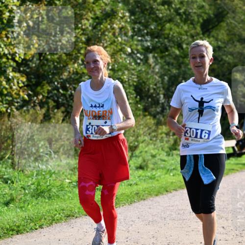 27.09.2026 - 35. Volkslauf durch das schöne Alstertal Dr. Thomas Lammeyer http://msf.ph/oto/10573928 27.09.2026 11:30:40 Laufen 3334, 30, 3016 meine-sportfotos.de