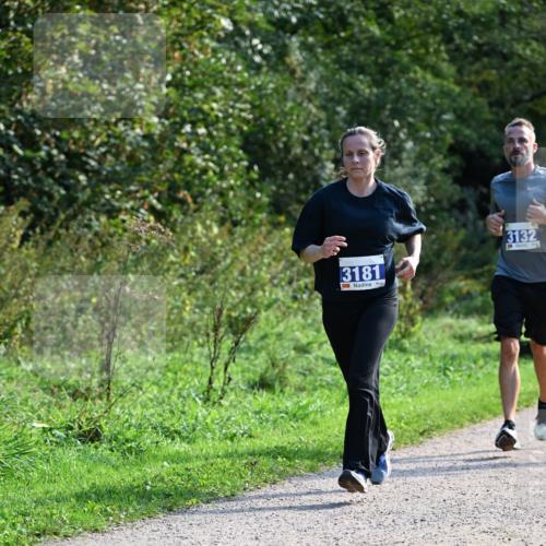 27.09.2026 - 35. Volkslauf durch das schöne Alstertal Dr. Thomas Lammeyer http://msf.ph/oto/10573937 27.09.2026 11:30:43 Laufen 3181, 3132 meine-sportfotos.de