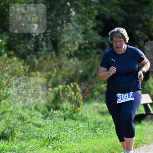 27.09.2026 - 35. Volkslauf durch das schöne Alstertal Dr. Thomas Lammeyer http://msf.ph/oto/10573953 27.09.2026 11:30:50 Laufen 3957 meine-sportfotos.de