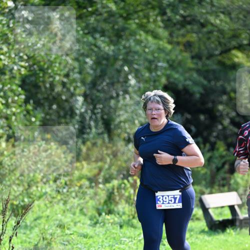 27.09.2026 - 35. Volkslauf durch das schöne Alstertal Dr. Thomas Lammeyer http://msf.ph/oto/10573958 27.09.2026 11:30:50 Laufen 3957 meine-sportfotos.de