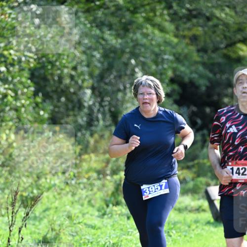 27.09.2026 - 35. Volkslauf durch das schöne Alstertal Dr. Thomas Lammeyer http://msf.ph/oto/10573961 27.09.2026 11:30:50 Laufen 3957, 142 meine-sportfotos.de