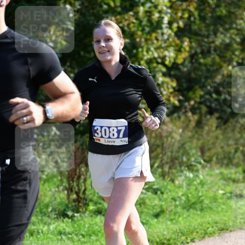 27.09.2026 - 35. Volkslauf durch das schöne Alstertal Dr. Thomas Lammeyer http://msf.ph/oto/10574036 27.09.2026 11:31:04 Laufen 3087 meine-sportfotos.de