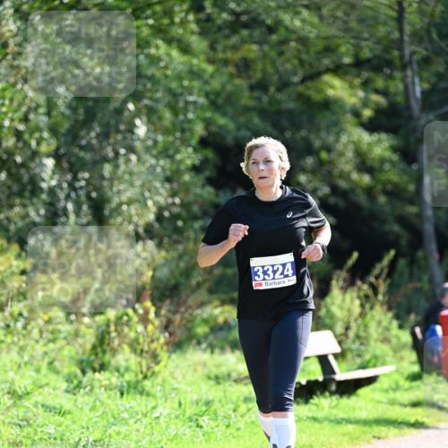 27.09.2026 - 35. Volkslauf durch das schöne Alstertal Dr. Thomas Lammeyer http://msf.ph/oto/10574041 27.09.2026 11:31:10 Laufen 3324 meine-sportfotos.de
