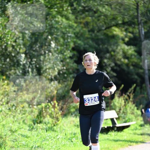 27.09.2026 - 35. Volkslauf durch das schöne Alstertal Dr. Thomas Lammeyer http://msf.ph/oto/10574042 27.09.2026 11:31:11 Laufen 3324 meine-sportfotos.de