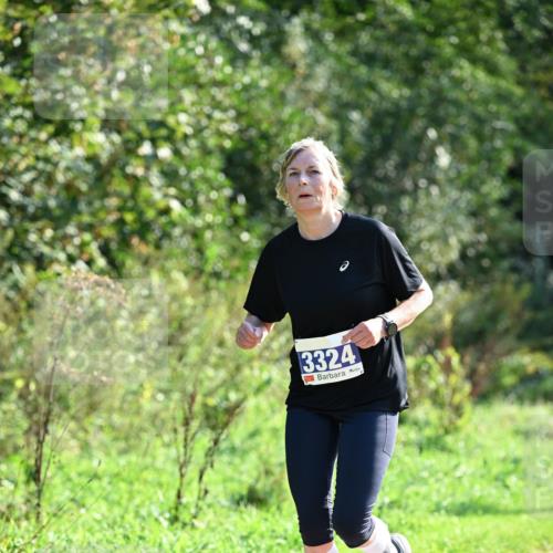 27.09.2026 - 35. Volkslauf durch das schöne Alstertal Dr. Thomas Lammeyer http://msf.ph/oto/10574054 27.09.2026 11:31:12 Laufen 3324 meine-sportfotos.de