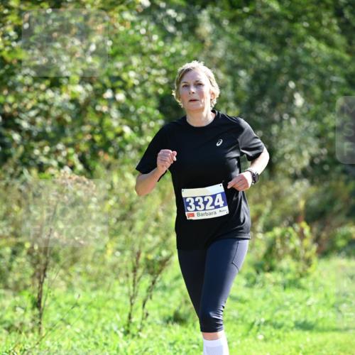 27.09.2026 - 35. Volkslauf durch das schöne Alstertal Dr. Thomas Lammeyer http://msf.ph/oto/10574056 27.09.2026 11:31:12 Laufen 3324 meine-sportfotos.de