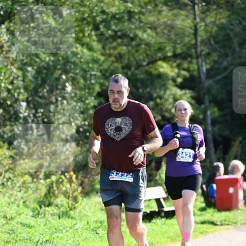 27.09.2026 - 35. Volkslauf durch das schöne Alstertal Dr. Thomas Lammeyer http://msf.ph/oto/10574066 27.09.2026 11:31:14 Laufen 3332, 3421 meine-sportfotos.de