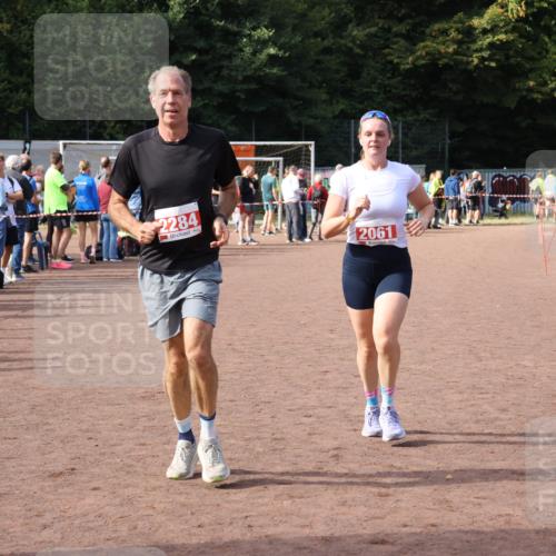 27.09.2026 - 35. Volkslauf durch das schöne Alstertal Strokosch-Dieckow http://msf.ph/oto/10574082 27.09.2026 12:26:44 Ziel 2061, 2284, 2489 meine-sportfotos.de