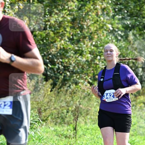 27.09.2026 - 35. Volkslauf durch das schöne Alstertal Dr. Thomas Lammeyer http://msf.ph/oto/10574089 27.09.2026 11:31:17 Laufen 32, 342 meine-sportfotos.de