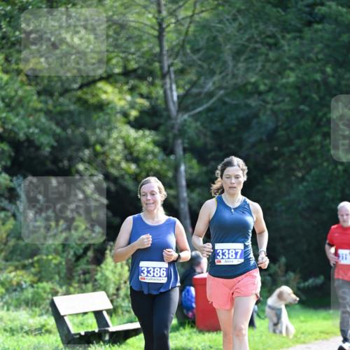 27.09.2026 - 35. Volkslauf durch das schöne Alstertal Dr. Thomas Lammeyer http://msf.ph/oto/10574099 27.09.2026 11:31:29 Laufen 3386, 3387, 119 meine-sportfotos.de