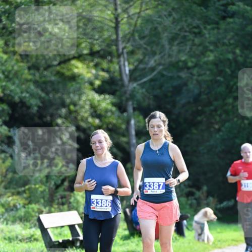 27.09.2026 - 35. Volkslauf durch das schöne Alstertal Dr. Thomas Lammeyer http://msf.ph/oto/10574102 27.09.2026 11:31:29 Laufen 3386, 3387 meine-sportfotos.de