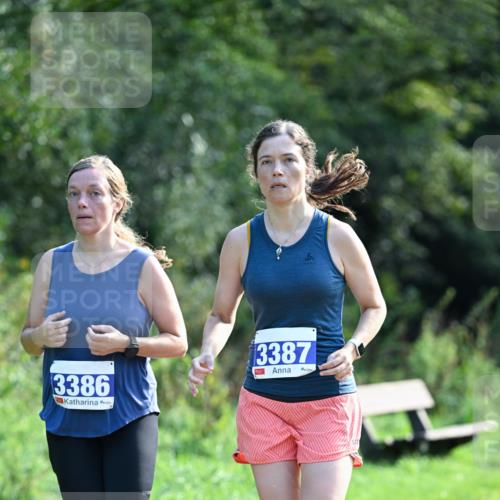 27.09.2026 - 35. Volkslauf durch das schöne Alstertal Dr. Thomas Lammeyer http://msf.ph/oto/10574120 27.09.2026 11:31:31 Laufen 6, 3386, 3387 meine-sportfotos.de