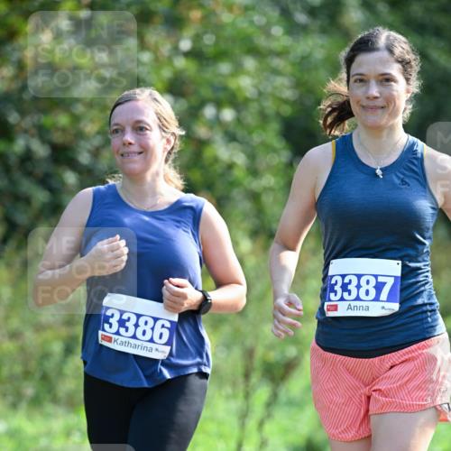 27.09.2026 - 35. Volkslauf durch das schöne Alstertal Dr. Thomas Lammeyer http://msf.ph/oto/10574129 27.09.2026 11:31:32 Laufen 3386, 3387 meine-sportfotos.de