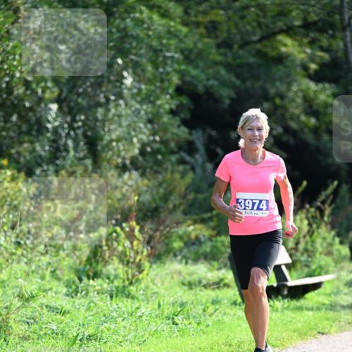 27.09.2026 - 35. Volkslauf durch das schöne Alstertal Dr. Thomas Lammeyer http://msf.ph/oto/10574160 27.09.2026 11:31:38 Laufen 3974 meine-sportfotos.de