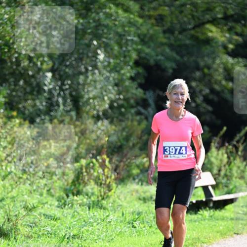 27.09.2026 - 35. Volkslauf durch das schöne Alstertal Dr. Thomas Lammeyer http://msf.ph/oto/10574163 27.09.2026 11:31:39 Laufen 3974 meine-sportfotos.de