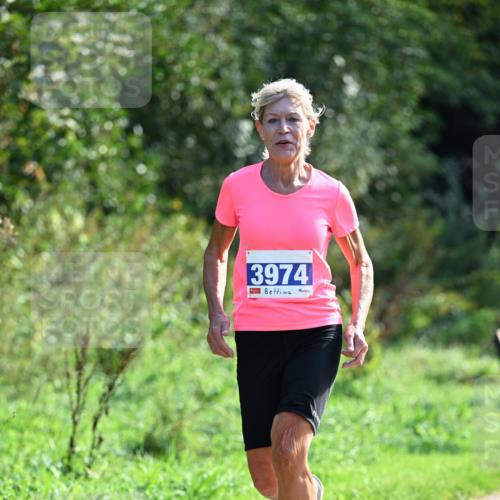 27.09.2026 - 35. Volkslauf durch das schöne Alstertal Dr. Thomas Lammeyer http://msf.ph/oto/10574177 27.09.2026 11:31:40 Laufen 3974 meine-sportfotos.de
