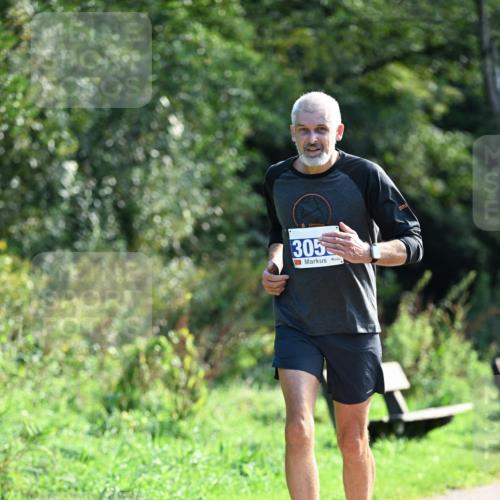 27.09.2026 - 35. Volkslauf durch das schöne Alstertal Dr. Thomas Lammeyer http://msf.ph/oto/10574186 27.09.2026 11:31:43 Laufen 305 meine-sportfotos.de