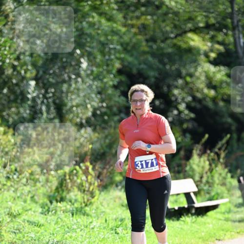 27.09.2026 - 35. Volkslauf durch das schöne Alstertal Dr. Thomas Lammeyer http://msf.ph/oto/10574239 27.09.2026 11:31:52 Laufen 3171 meine-sportfotos.de