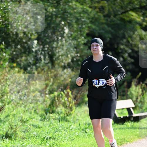 27.09.2026 - 35. Volkslauf durch das schöne Alstertal Dr. Thomas Lammeyer http://msf.ph/oto/10574260 27.09.2026 11:31:58 Laufen 3187 meine-sportfotos.de