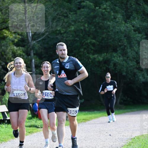 27.09.2026 - 35. Volkslauf durch das schöne Alstertal Dr. Thomas Lammeyer http://msf.ph/oto/10574355 27.09.2026 11:32:21 Laufen 3105, 3104, 3963 meine-sportfotos.de