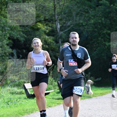 27.09.2026 - 35. Volkslauf durch das schöne Alstertal Dr. Thomas Lammeyer http://msf.ph/oto/10574360 27.09.2026 11:32:21 Laufen 3105, 3963 meine-sportfotos.de