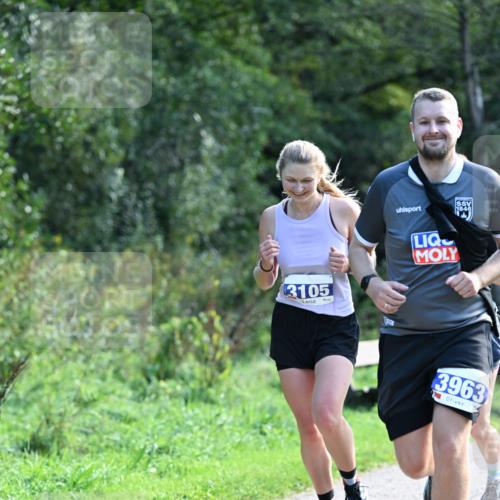 27.09.2026 - 35. Volkslauf durch das schöne Alstertal Dr. Thomas Lammeyer http://msf.ph/oto/10574365 27.09.2026 11:32:22 Laufen 1846, 3105, 3963 meine-sportfotos.de