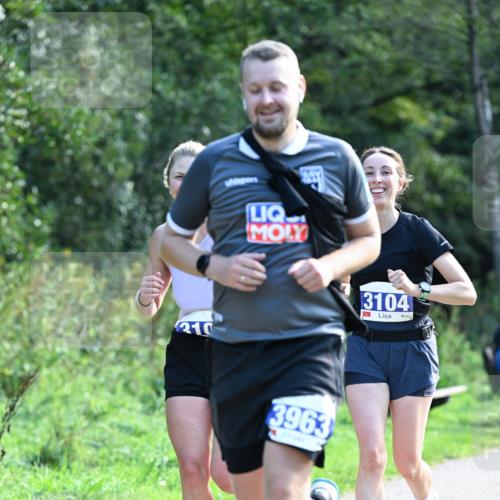27.09.2026 - 35. Volkslauf durch das schöne Alstertal Dr. Thomas Lammeyer http://msf.ph/oto/10574370 27.09.2026 11:32:23 Laufen 310, 3963, 3104 meine-sportfotos.de