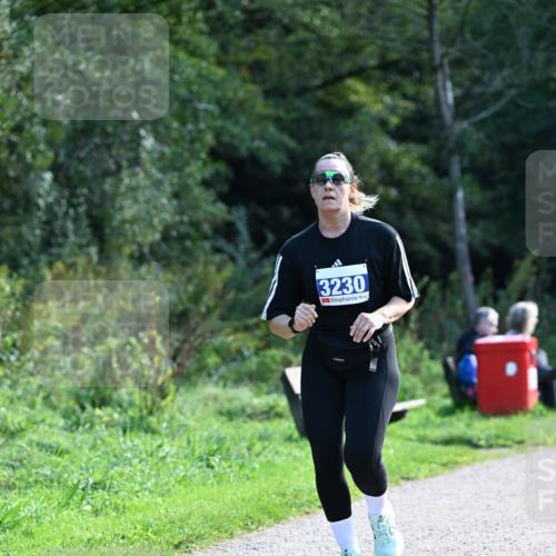 27.09.2026 - 35. Volkslauf durch das schöne Alstertal Dr. Thomas Lammeyer http://msf.ph/oto/10574391 27.09.2026 11:32:27 Laufen 3230 meine-sportfotos.de
