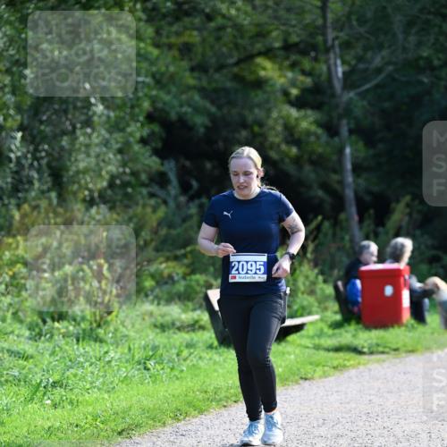 27.09.2026 - 35. Volkslauf durch das schöne Alstertal Dr. Thomas Lammeyer http://msf.ph/oto/10574409 27.09.2026 11:32:36 Laufen 2095 meine-sportfotos.de