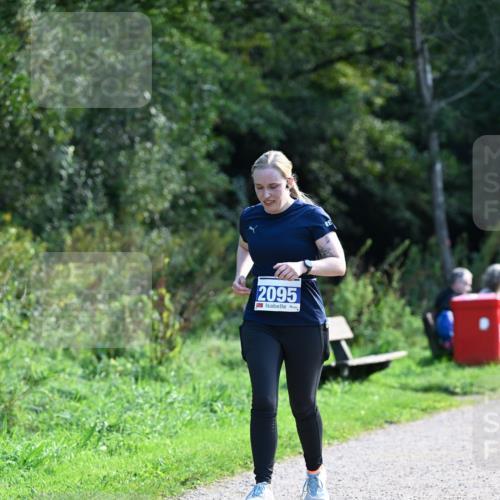 27.09.2026 - 35. Volkslauf durch das schöne Alstertal Dr. Thomas Lammeyer http://msf.ph/oto/10574413 27.09.2026 11:32:36 Laufen 2095 meine-sportfotos.de