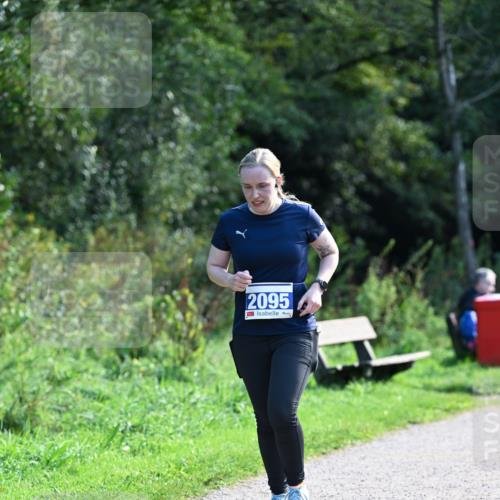 27.09.2026 - 35. Volkslauf durch das schöne Alstertal Dr. Thomas Lammeyer http://msf.ph/oto/10574416 27.09.2026 11:32:36 Laufen 2095 meine-sportfotos.de