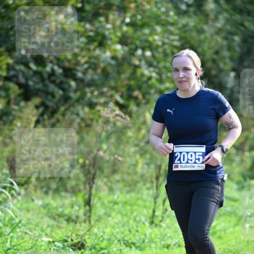 27.09.2026 - 35. Volkslauf durch das schöne Alstertal Dr. Thomas Lammeyer http://msf.ph/oto/10574429 27.09.2026 11:32:38 Laufen 2095 meine-sportfotos.de