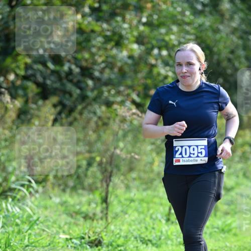 27.09.2026 - 35. Volkslauf durch das schöne Alstertal Dr. Thomas Lammeyer http://msf.ph/oto/10574430 27.09.2026 11:32:38 Laufen 2095 meine-sportfotos.de