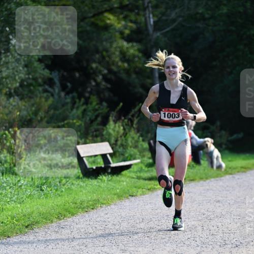 27.09.2026 - 35. Volkslauf durch das schöne Alstertal Dr. Thomas Lammeyer http://msf.ph/oto/10574448 27.09.2026 11:32:43 Laufen 1003 meine-sportfotos.de