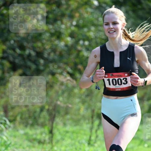 27.09.2026 - 35. Volkslauf durch das schöne Alstertal Dr. Thomas Lammeyer http://msf.ph/oto/10574467 27.09.2026 11:32:45 Laufen 1003 meine-sportfotos.de