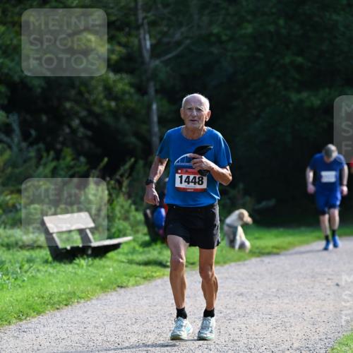 27.09.2026 - 35. Volkslauf durch das schöne Alstertal Dr. Thomas Lammeyer http://msf.ph/oto/10574484 27.09.2026 11:32:51 Laufen 1448 meine-sportfotos.de