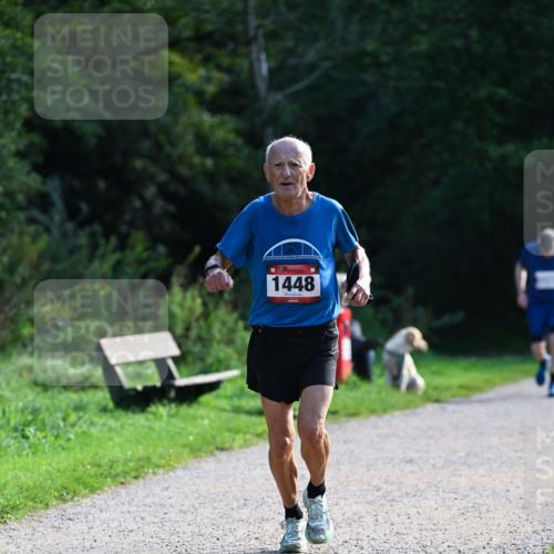 27.09.2026 - 35. Volkslauf durch das schöne Alstertal Dr. Thomas Lammeyer http://msf.ph/oto/10574487 27.09.2026 11:32:51 Laufen 1448 meine-sportfotos.de