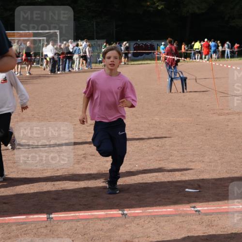 27.09.2026 - 35. Volkslauf durch das schöne Alstertal Strokosch-Dieckow http://msf.ph/oto/10574488 27.09.2026 12:28:17 Ziel 2018, 2062, 2063, 2258, 2302 meine-sportfotos.de