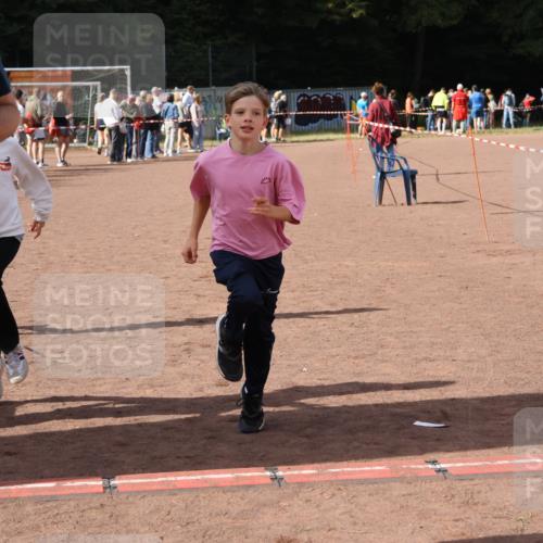 27.09.2026 - 35. Volkslauf durch das schöne Alstertal Strokosch-Dieckow http://msf.ph/oto/10574493 27.09.2026 12:28:17 Ziel 2018, 2062, 2063, 2258, 2302 meine-sportfotos.de