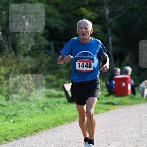 27.09.2026 - 35. Volkslauf durch das schöne Alstertal Dr. Thomas Lammeyer http://msf.ph/oto/10574494 27.09.2026 11:32:52 Laufen 1448 meine-sportfotos.de