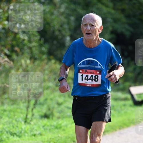 27.09.2026 - 35. Volkslauf durch das schöne Alstertal Dr. Thomas Lammeyer http://msf.ph/oto/10574501 27.09.2026 11:32:53 Laufen 1448 meine-sportfotos.de