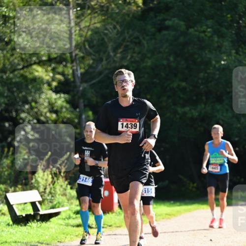 27.09.2026 - 35. Volkslauf durch das schöne Alstertal Dr. Thomas Lammeyer http://msf.ph/oto/10574566 27.09.2026 11:33:06 Laufen 1439, 3148, 315, 1445 meine-sportfotos.de