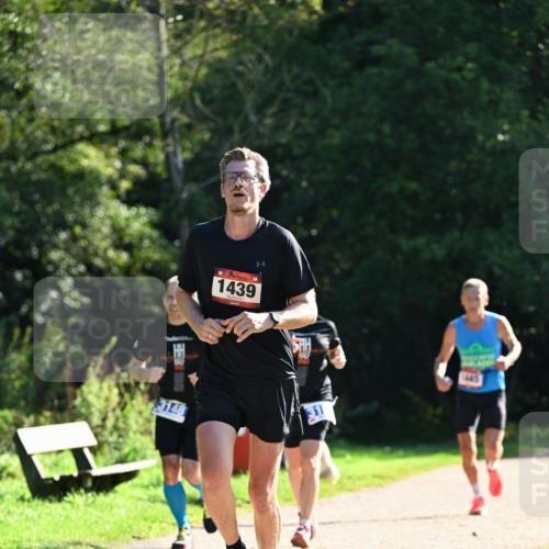 27.09.2026 - 35. Volkslauf durch das schöne Alstertal Dr. Thomas Lammeyer http://msf.ph/oto/10574568 27.09.2026 11:33:06 Laufen 3148, 1439, 1445 meine-sportfotos.de