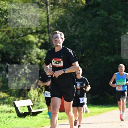 27.09.2026 - 35. Volkslauf durch das schöne Alstertal Dr. Thomas Lammeyer http://msf.ph/oto/10574570 27.09.2026 11:33:06 Laufen 1439, 314, 31, 1445 meine-sportfotos.de
