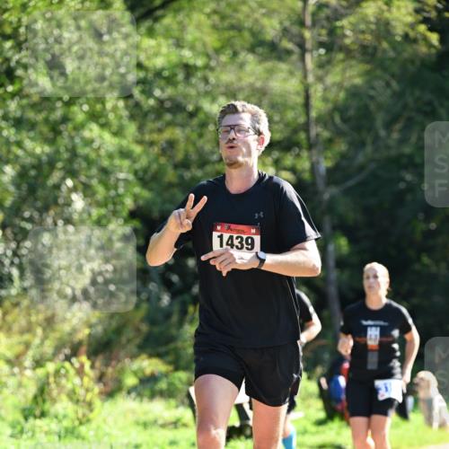 27.09.2026 - 35. Volkslauf durch das schöne Alstertal Dr. Thomas Lammeyer http://msf.ph/oto/10574576 27.09.2026 11:33:07 Laufen 1439 meine-sportfotos.de