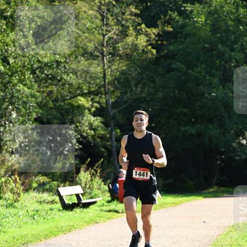 27.09.2026 - 35. Volkslauf durch das schöne Alstertal Dr. Thomas Lammeyer http://msf.ph/oto/10574635 27.09.2026 11:33:37 Laufen 1441 meine-sportfotos.de