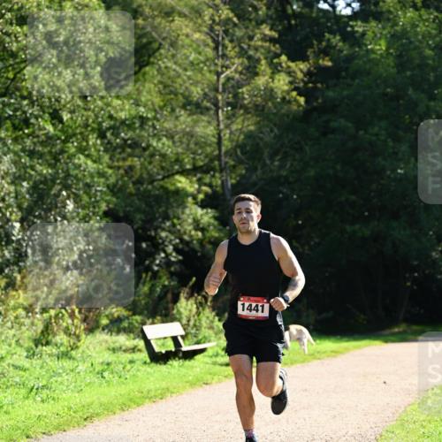 27.09.2026 - 35. Volkslauf durch das schöne Alstertal Dr. Thomas Lammeyer http://msf.ph/oto/10574638 27.09.2026 11:33:38 Laufen 1441 meine-sportfotos.de