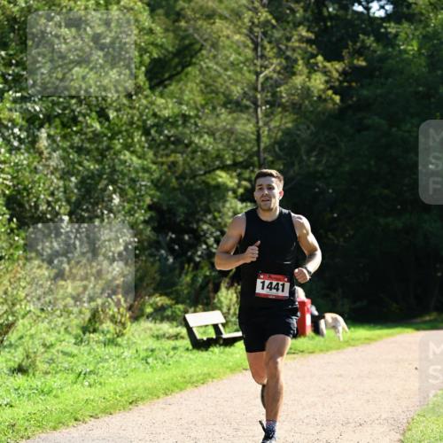 27.09.2026 - 35. Volkslauf durch das schöne Alstertal Dr. Thomas Lammeyer http://msf.ph/oto/10574640 27.09.2026 11:33:38 Laufen 1441 meine-sportfotos.de
